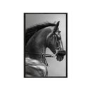 Ver imagem 2 de Quadro Decorativo - Cavalo de Perfil Preto e Branco Anm025 Vidro com Impressão Uv - 80x60cm