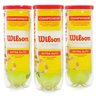 Bola de Tênis Wilson Championship - 3 Tubos com 3 Bolas - 1