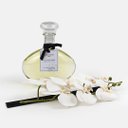 Ver imagem 1 de Difusor de Ambiente Fleur Du Matin - 700ml Blue Gardenia