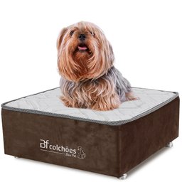 Cama Box Caminha para Cachorro e Gato Caminha em Suede Marrom + Lençol Impermeável Branco 60X60x24cm - 1