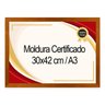 Kit 3 Molduras com Vidro A3- 30X42cm Moldura Laqueada Fosco - Dourado - 1
