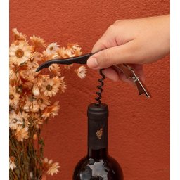 ABRIDOR DE GARRAFA E VINHO - 3