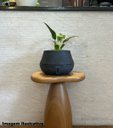 Ver imagem 5 de Vaso de Planta Inteligente Autoirrigável Cuia P Basalto