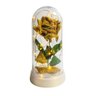 Luminária A Rosa Encantada Brilhante Presente Para Namorada Dourado Amor Lindo Boutique Linda Luminá - 1
