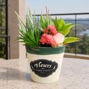 Ver imagem 1 de Arranjo Vaso Decoração Suculenta Flor Planta Artificial 20cm Fleurs