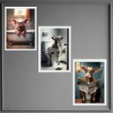Ver imagem 2 de Kit 3 Quadros Divertidos Banheiro de Sítio 45x34cm - com Vidro:madeira Branca