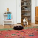 Ver imagem 3 de Robô Aspirador e Esfregão Bobsweep Coffee-APP220022 2200PA Mapeamento por Câmera Café 220V