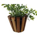 Ver imagem 7 de Painel de Madeira para Flores Plantas com 5 Vasos Movéis