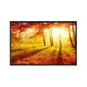 Ver imagem 1 de Quadro Decorativo - Outono Arvores e Folhas no Parque Flnt019 - Tela Canvas - 80x60cm