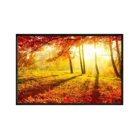 Quadro Decorativo - Outono Arvores e Folhas no Parque Flnt019 - Tela Canvas - 80x60cm