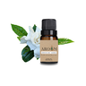 Óleo Essencial Gardênia - Jasmim do Cabo ( Diluido 10%) 10 ML- Aroom Aromaterapia - 1