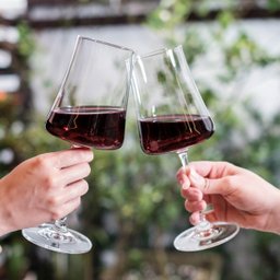 Taca de Cristal para Vinho Tinto 460ml Pleasure Haus Concept - 2