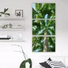 Quadro Composição Triptico Vert Coqueiros - 1