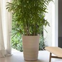 Ver imagem 4 de Kit 4 Vasos Grego 50cm Granito Areia Tramontina
