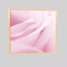 Quadro Floral Rosa Suave 1 80x80 Moldura Bege - 1