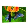 Quadro Decorativo Paisagem Borboleta 95x63 Moldura Interna - 1