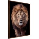 Ver imagem 3 de Quadro Decorativo Leão Judá Sala Quart Moldura CxAlta 100x66 Arte na Arte Moldura Madeira