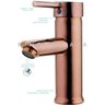 Torneira para banheiro cascata Misturador Monocomando Baixa Xingu Pingoo.casa - Dourado Rose - 5