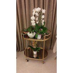 Carrinho Oval Decorativo Bebidas Chá Bar Luxo em Metal - 5