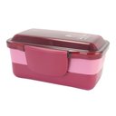 Ver imagem 4 de Conjunto Bolsa Térmica C- Bolsos e Pote de Marmita, Garrafa 430 Ml e Porta Talheres Vinho