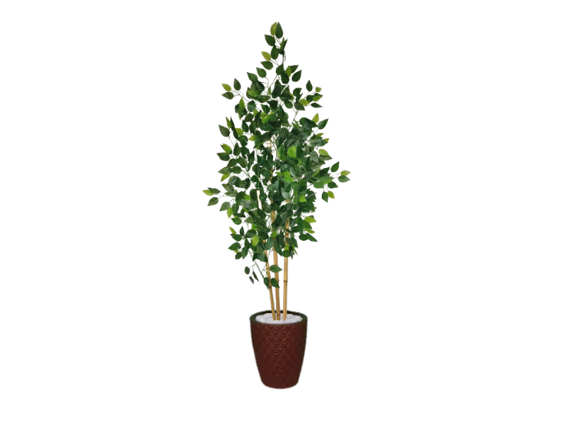 Planta Árvore Artificial Bambu Real Toque 1,6m Kit + Vaso E. Marrom 32cm - 1