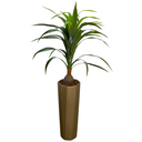 Ver imagem 1 de Vaso De Chão Ouro Velho Com Planta Dracena