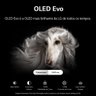Smart Tv LG 65" OLED 4K ThinQ Evo Inteligência Artificial Google Alexa OLED65C2PSA - 14