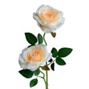 Ver imagem 1 de 9 Rosas Artificiais Cor Creme Realista para Casamentos Festas e Enfeites