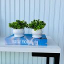 Ver imagem 2 de Kit livro p/ decorar porta objetos + dupla vaso branco decor