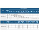 Ver imagem 2 de Bomba de Prevenção contra Incêndio Bpi-22 R 2 1/2 7,5 Cv Trifásico Schneider