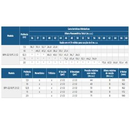 Bomba de Prevenção contra Incêndio Bpi-22 R 2 1/2 7,5 Cv Trifásico Schneider - 2