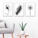 Ver imagem 2 de Kit 3 Quadros Minimalistas Flores e penas 45x34cm - com Vidro:madeira Preta