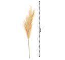 Ver imagem 3 de Kit 2 Galhos Capim Pampa Champanhe Luxo Extra Grande 100cm - Magizi