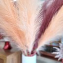 Ver imagem 4 de Kit 2 Galhos Capim Pampa Champanhe Luxo Extra Grande 100cm - Magizi