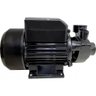 Motobomba Periférica Bivolt Ep-100b 1cv Eletroplas - 5