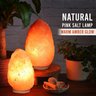 Himalayan Glow Lâmpada de Sal Natural com Dimmer Madeira Laranja 21,8cm 2,7kg - 5