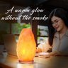Himalayan Glow Lâmpada de Sal Natural com Dimmer Madeira Laranja 21,8cm 2,7kg - 4