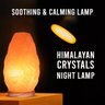 Himalayan Glow Lâmpada de Sal Natural com Dimmer Madeira Laranja 21,8cm 2,7kg - 3