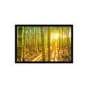 Ver imagem 1 de Quadro Decorativo Árvores Bambu: Mod. 0397 Collor-ink Mod.0397 60 X 90cm Preto