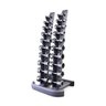 Rack Suporte para Hateres Dumbbells 10 pares Ahead Sports Preto - 1