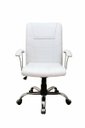 Ver imagem 2 de Cadeira Presidente Ergonômica Linha Vivara