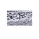 Ver imagem 3 de Colchão Solteiro Toraflex D33 Coala 88x188x16