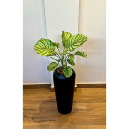 Vaso Decorativo Fibra de Vidro Florida P 65cm Preto Fosco - 3