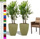 Ver imagem 1 de Kit 2 Vaso Planta 60x40 Moderno Trapézio Polietileno BGPLASTICOS MARROM CHOCOLATE 020