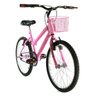 Bicicleta Infantil Aro 20 Feminina Mtb com cestinha - ROSA - Tamanho Único - 1