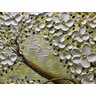 Quadro Pintura Tela árvore pétalas branco flor painéis 5369: 100cm (A) x 150cm (L) - 4