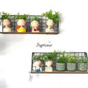 Ver imagem 2 de Vaso Boy Relax