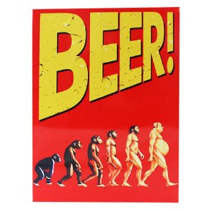 Quadro Metal 26x20 Cm Evolution With Beer