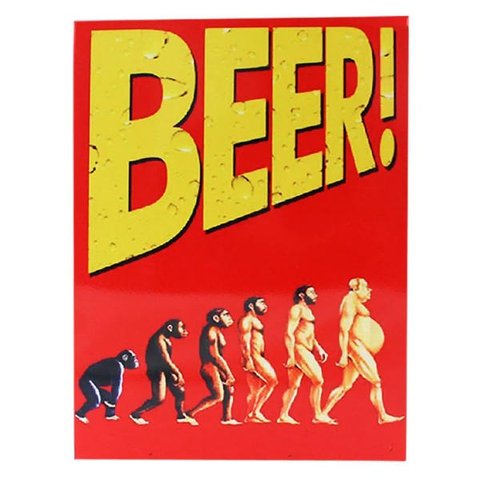Quadro Metal 26x20 Cm Evolution With Beer