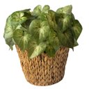 Ver imagem 4 de 8 Folhagens Artificiais Verdes com 30cm Buquês Decorativos para Arranjos e Vasos sem Manutenção